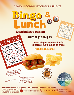 bingo sub