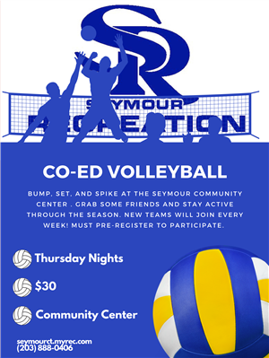 CO-ED Volleyball