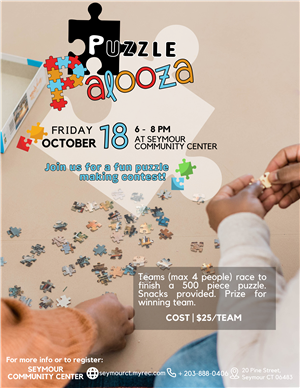 puzzle palooza