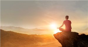 Life Coach Life Coach