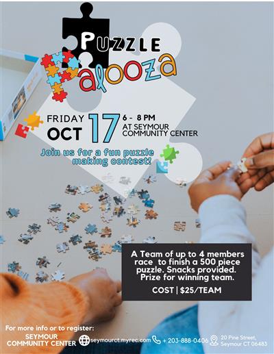 Puzzle Palooza Puzzle Palooza